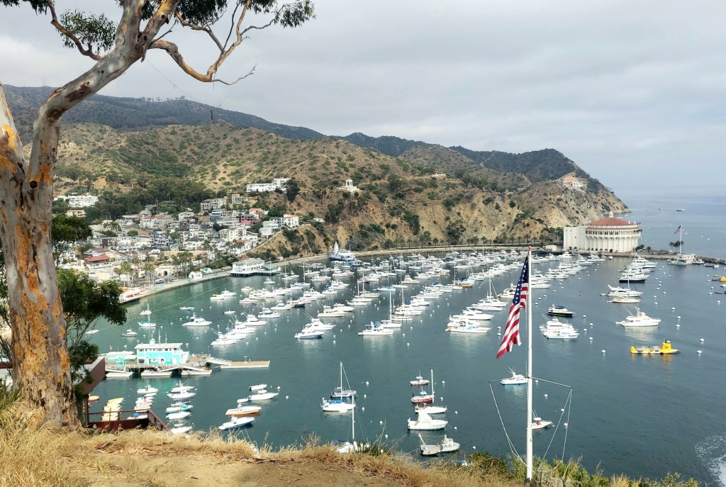 View of Catalina Island